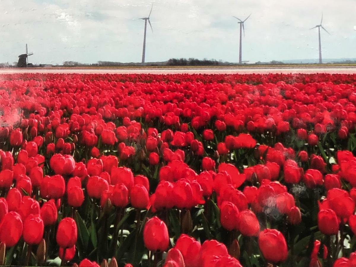 Vakantiehuis Aan Zee Sint Maartensvlotbrug Exterior foto